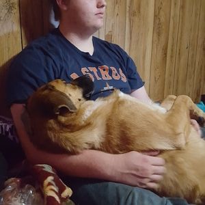 Meet your Posher, Seth